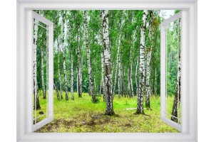 Фототапет прозорец пейзаж брезова гора - 3 цвята