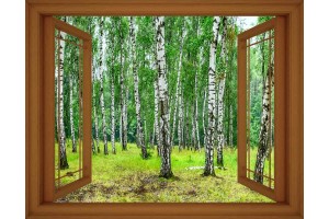 Фототапет прозорец пейзаж брезова гора - 3 цвята