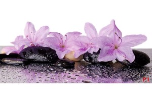 Фототапет спа камъни с прекрасни лилави цветя