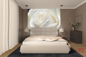 Фототапет голяма роза крем