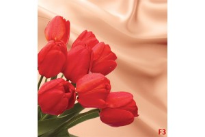Фототапети червени лалета на фон от  бежова коприна