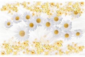 Фототапети композиция с бели маргарити фон пера