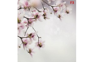 Фототапет клонка пролетен цвят на сив фон Фототапет клонка пролетен цвят на сив фон