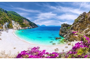 Фототапет морски залив плаж с лилави цветя 