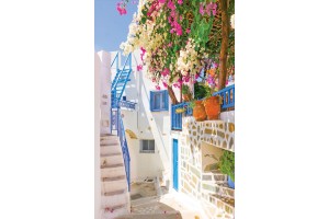 Фототапети Санторини улица с цветя