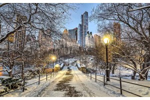 Фототапет зимна гледка от Сентрал Парк Ню Йорк