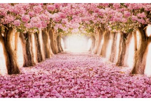 Фототапет горска пътека от розови дървета