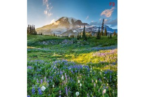 Фототапет пейзаж с красива планинска поляна 