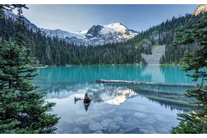 Фототапет прекрасна борова гора покрай езеро