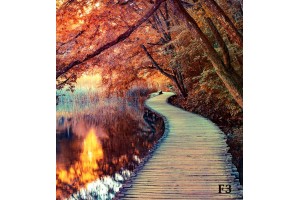Фототапет прекрасен есенен горски пейзаж с пътека 