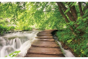 Фототапети горска пътека край река 