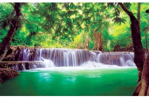 Фототапети изглед водопад в гората