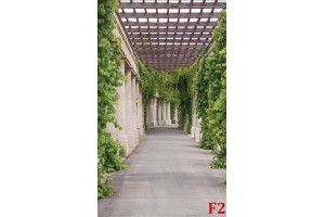 Фототапети градинска алея с много зеленина и колони