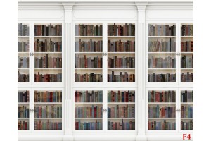 Фототапети стена бяла библиотека с книги 