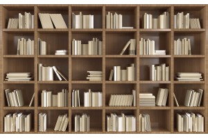 3д стена модерна библиотека книги в 2 цвята дърво