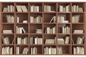 3д стена модерна библиотека книги в 2 цвята дърво