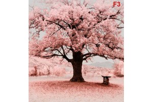 Фототапет дизайнерски дърво розов пейзаж