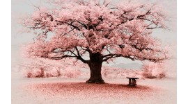 Фототапет дизайнерски дърво розов пейзаж