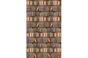 Фототапети библиотека със стари книги 2