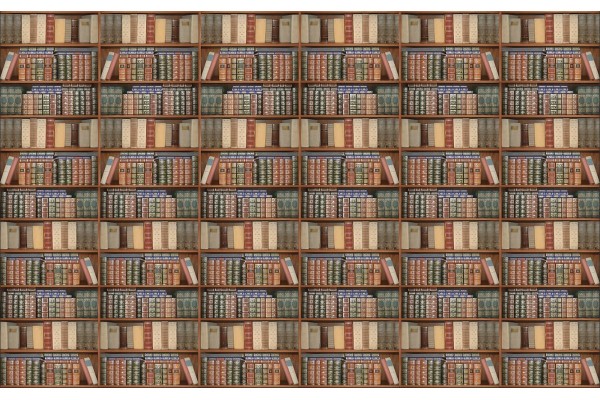 Фототапети библиотека със стари книги 2
