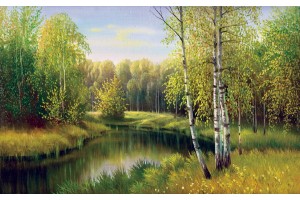 Фототапети картина брезова гора и езеро пейзаж