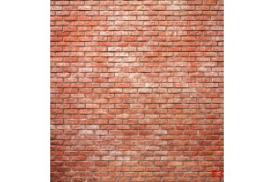 Фототапет тухлена стена стандартни червени тухли