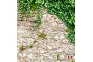 Фототапети каменна стена зид обвит в бръшлян
