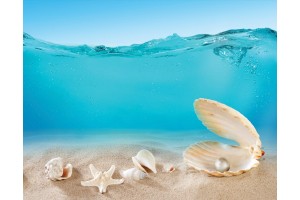 Фототапет морски раковини под вода