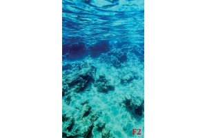 Фототапети морско подводно дъно красива гледка