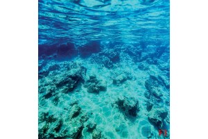 Фототапети морско подводно дъно красива гледка