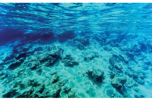 Фототапети морско подводно дъно красива гледка