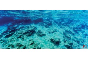 Фототапети морско подводно дъно красива гледка