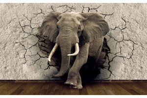 Фототапети 3D модел разбита стена – слон