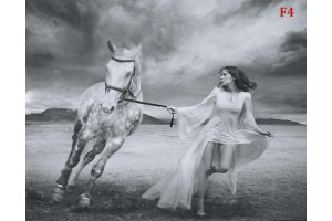 Фототапет арт бял кон и жена