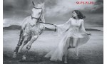 Фототапет арт бял кон и жена