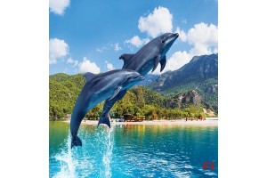Фототапет скачащи делфини на фона на планински изглед