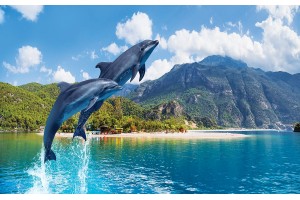 Фототапет скачащи делфини на фона на планински изглед