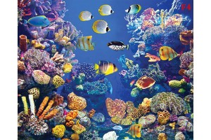 морско дъно с много рибки и корали