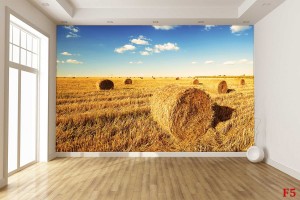 Фототапети слънчево поле с бали